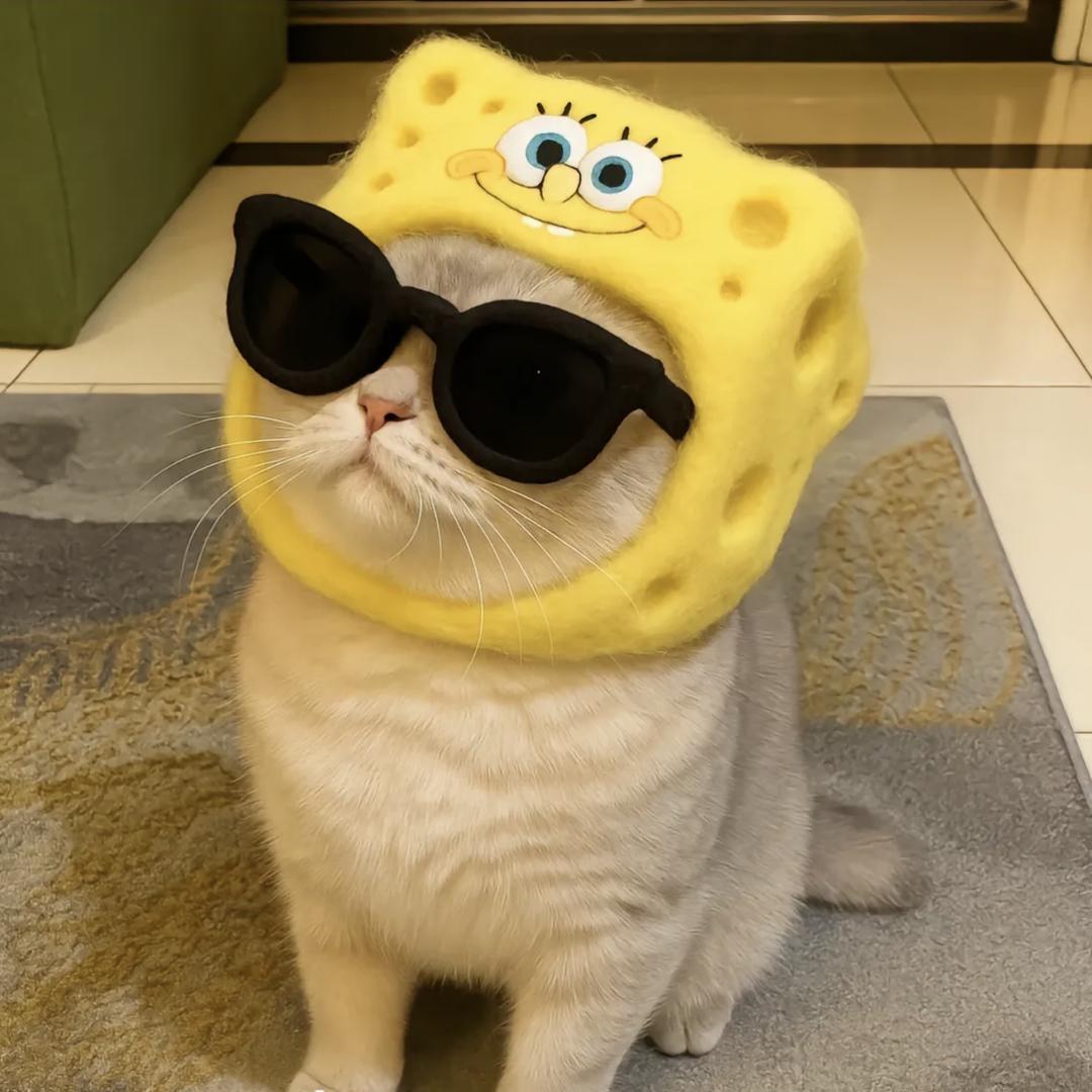 椰椰拿铁☕不加冰