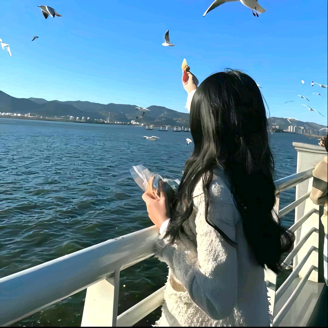 小夏✨