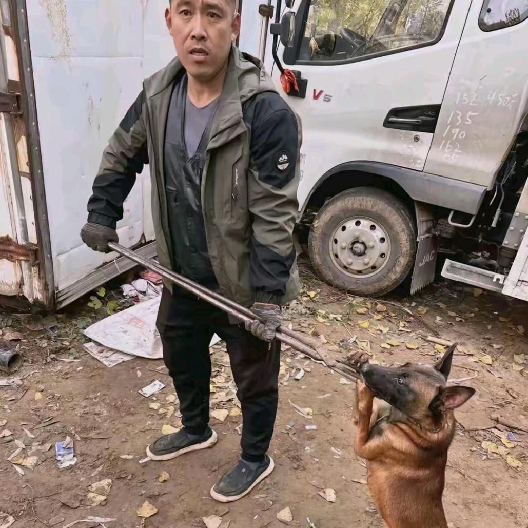 AAA庞哥（专业套狗20年）