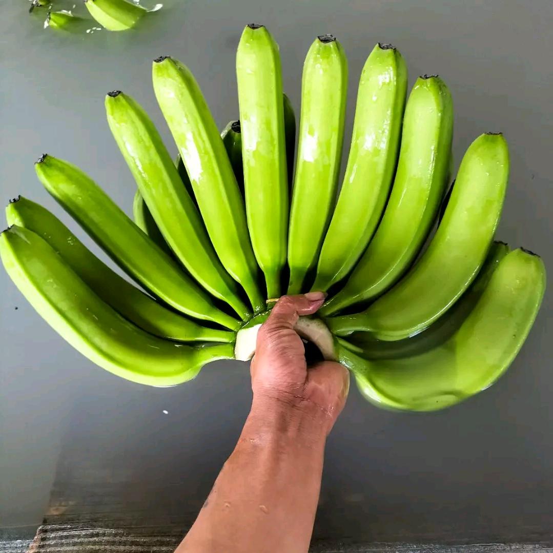 大自然的搬运工