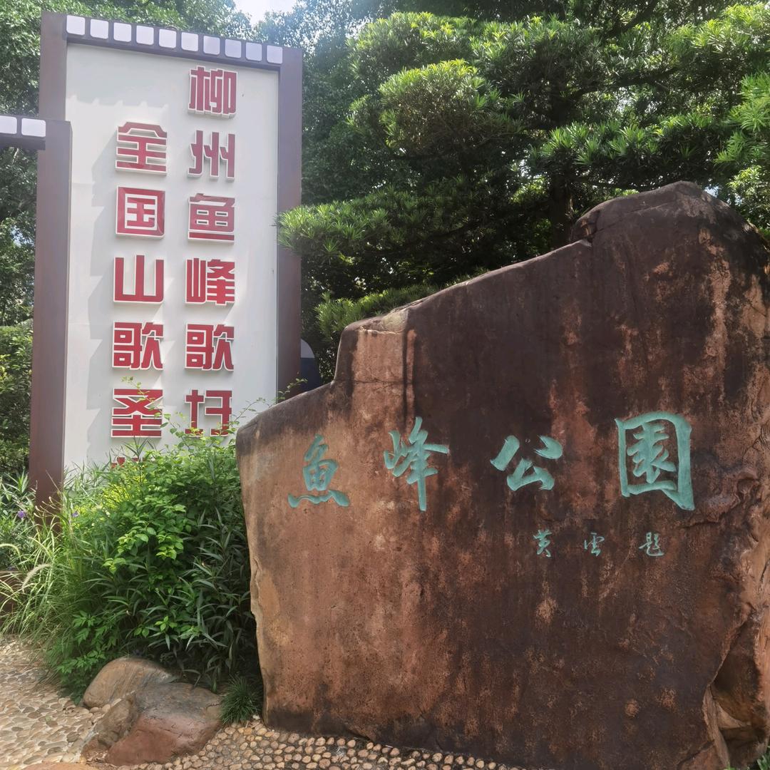 农村表哥