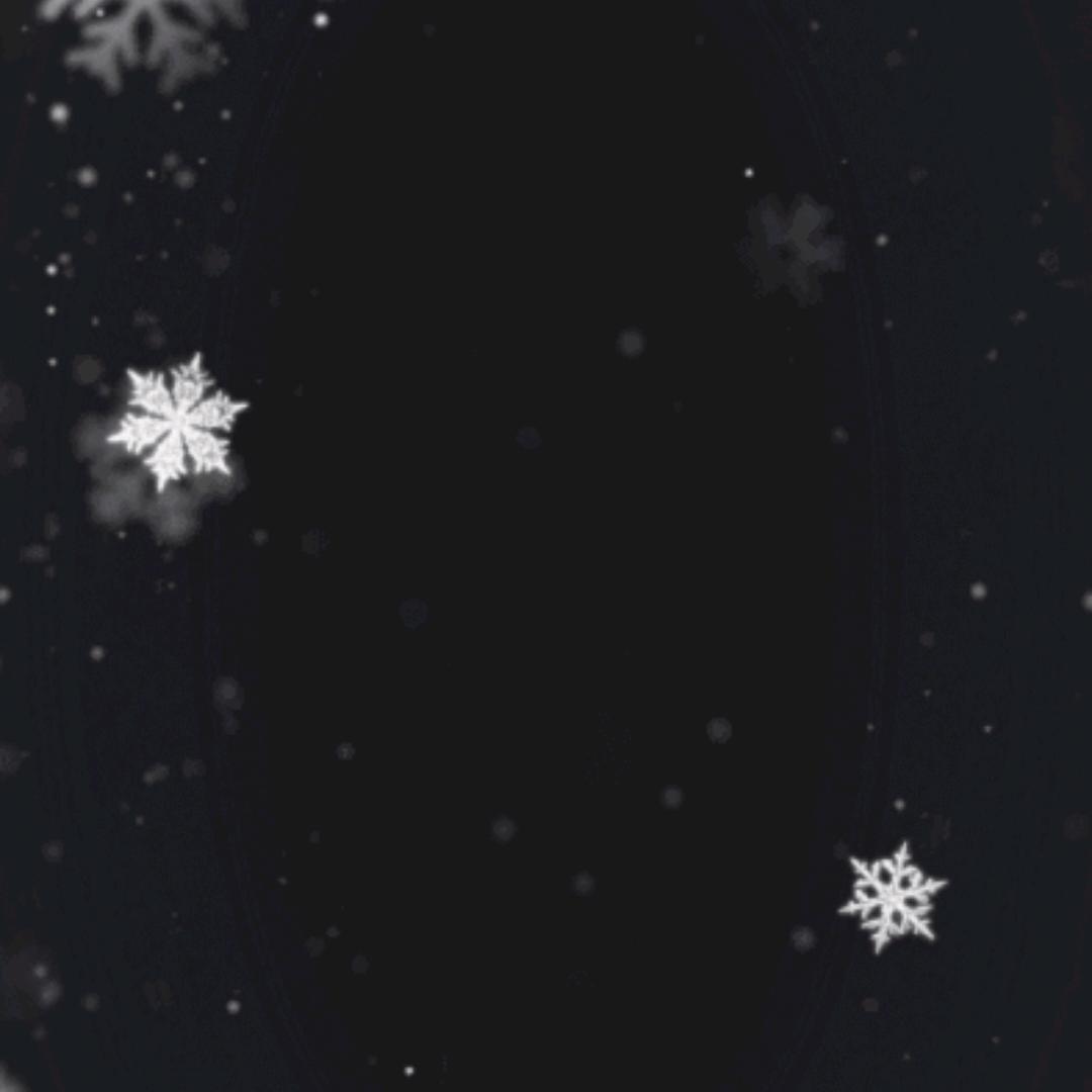秦