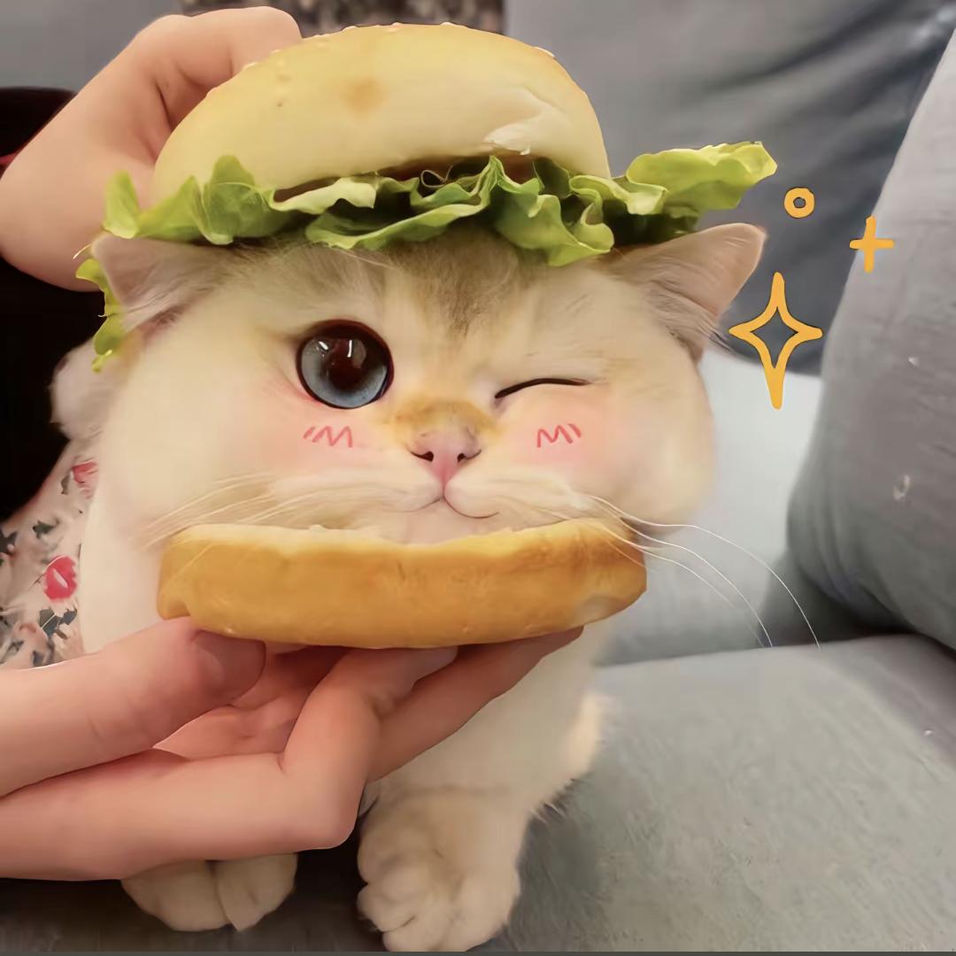 奶茶加芝麻ⁿ💭🌾