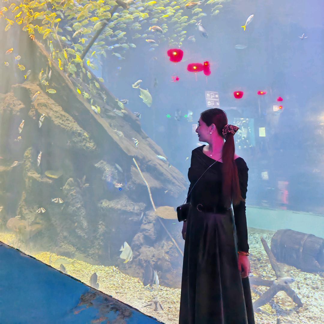 星妍.Liu