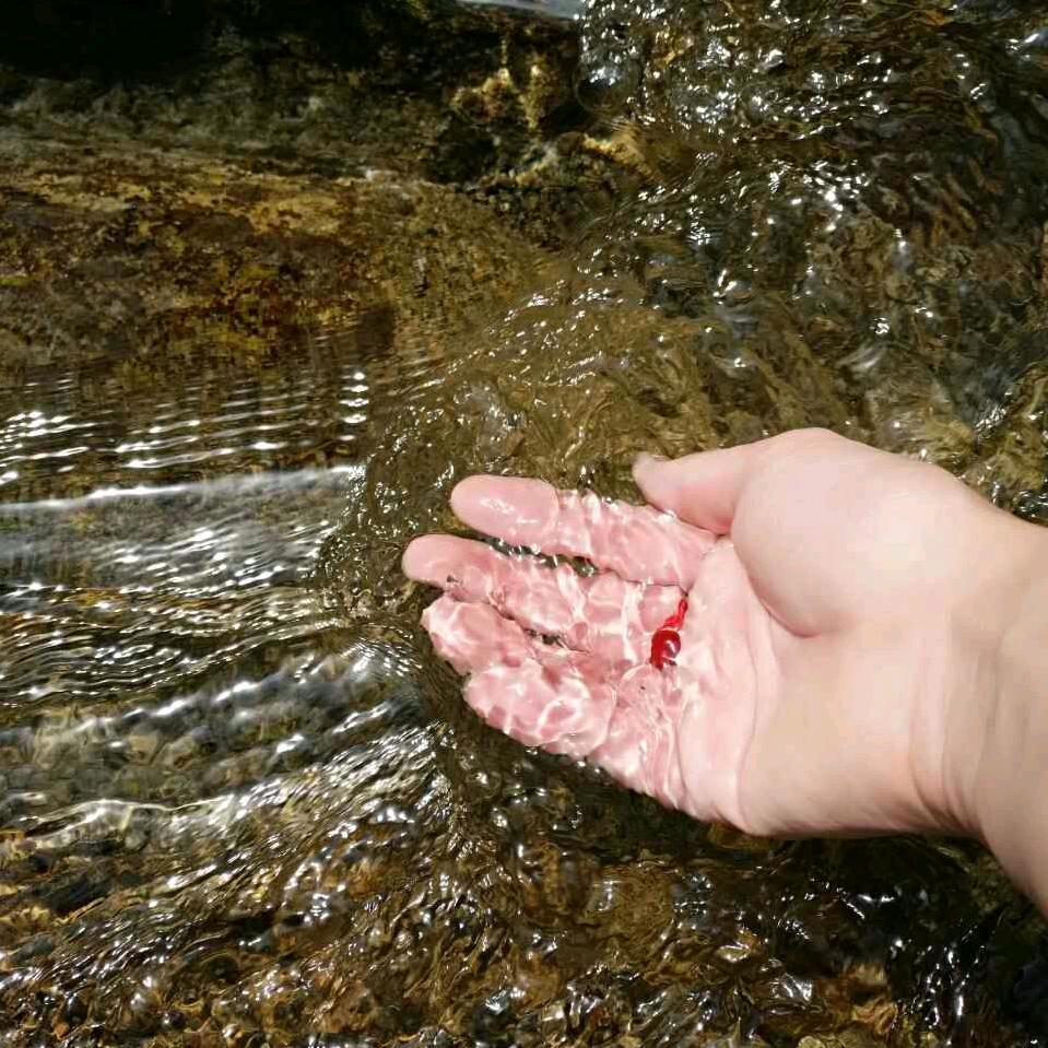 🌈一定会好起来的