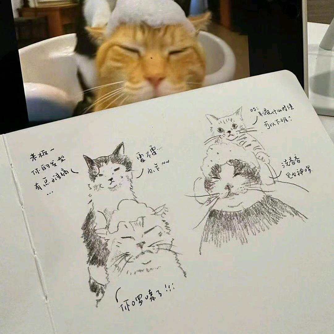 神经原子不在线