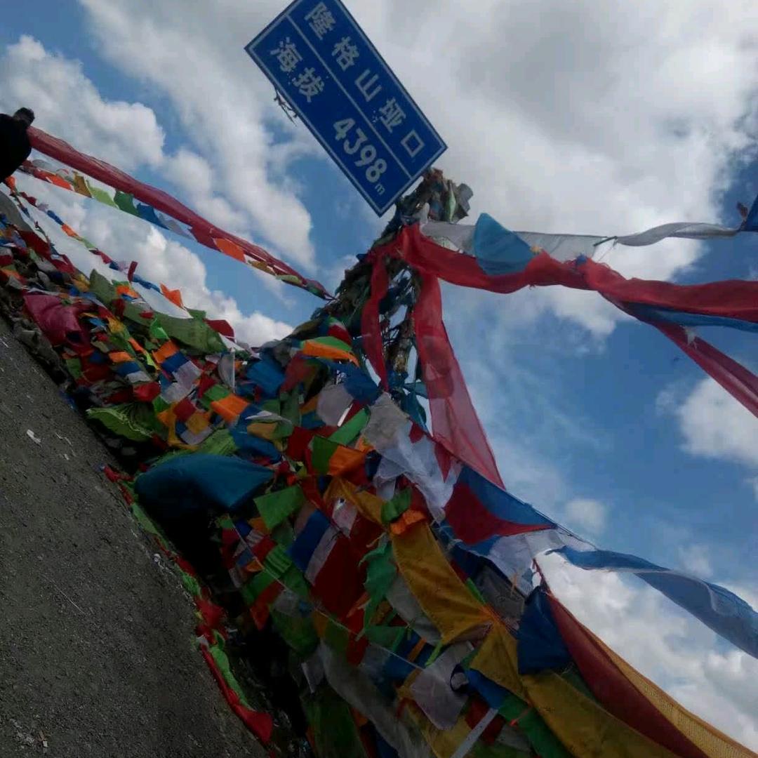 你洪哥
