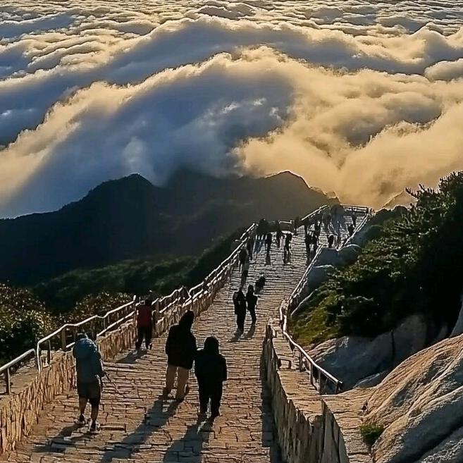 人间冷暖