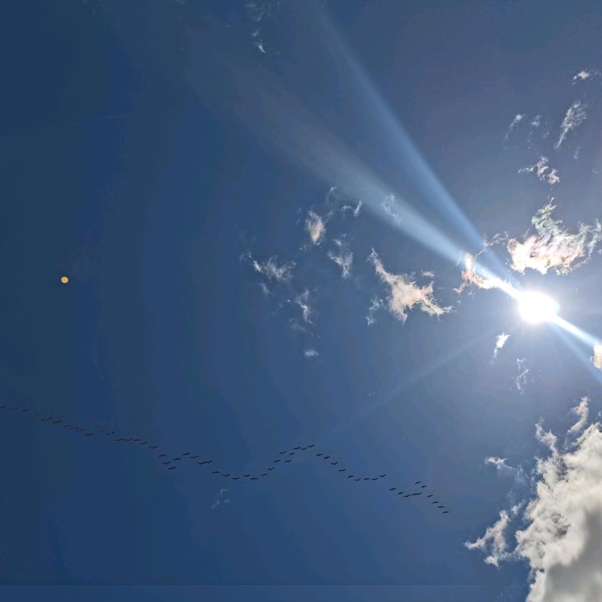 ᠪᠠᠶ᠋ᠢᠨᠣ