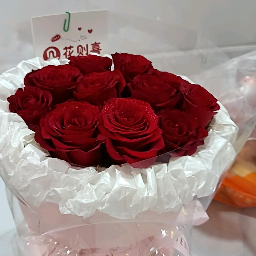 RAYILA5373