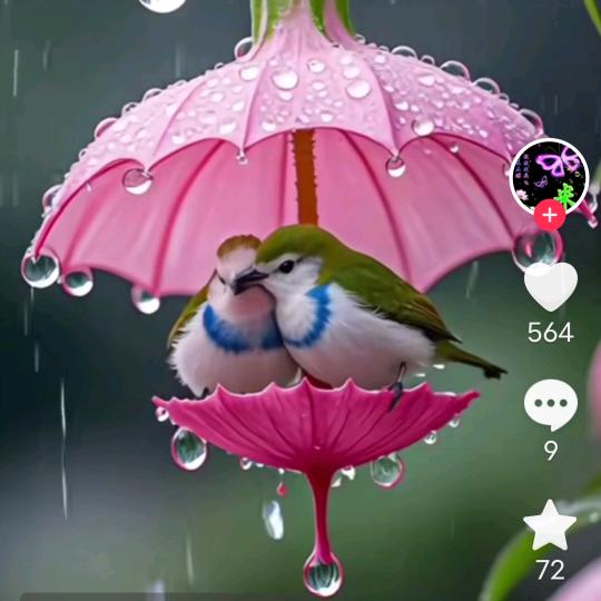 雨后彩虹
