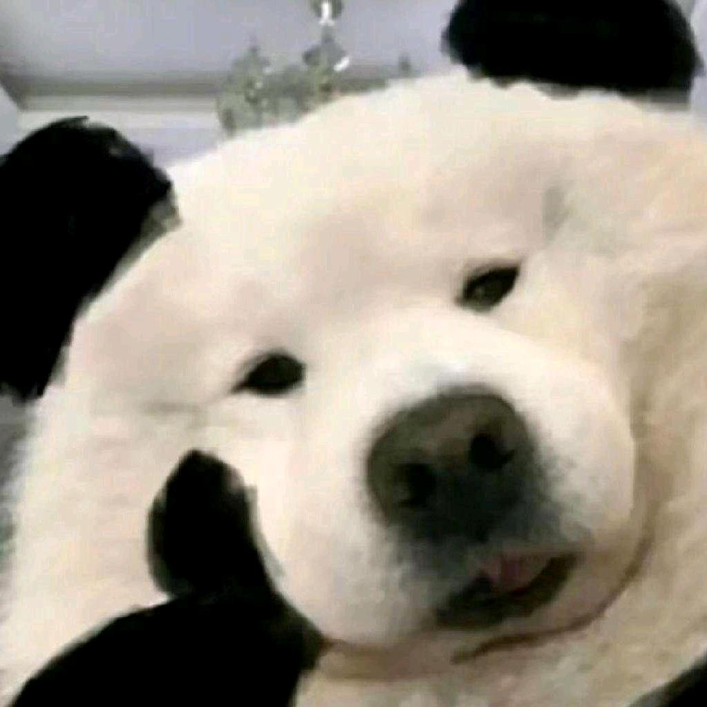 卷卷卷卷