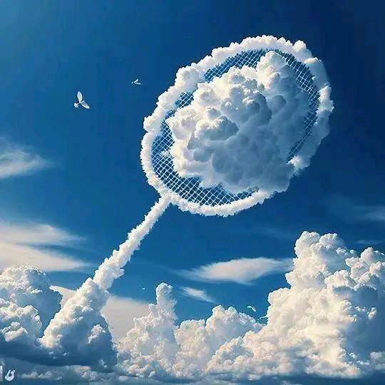 隔壁老杨（92年的孤品）