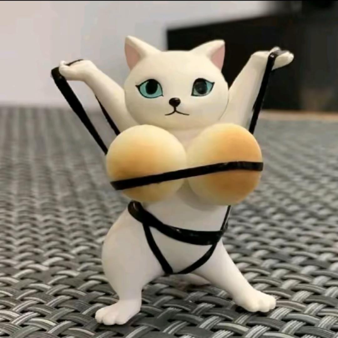 菜菜