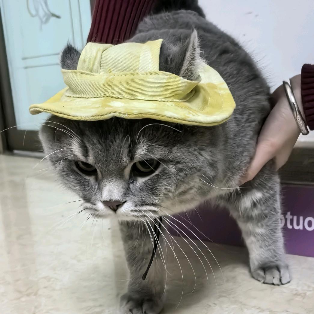 魔鬼麻辣锅包肉