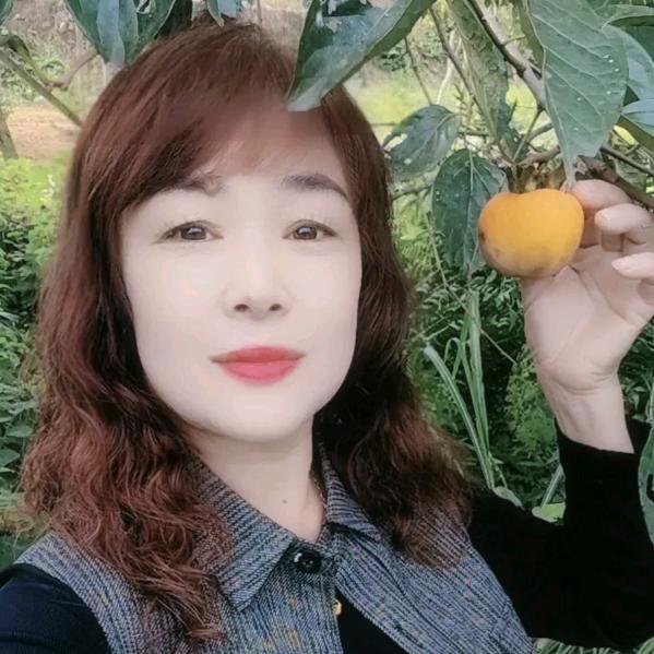 梦醉西楼