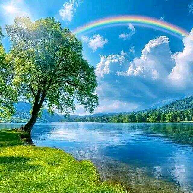 ꧁༺勇闯天涯客༻꧂