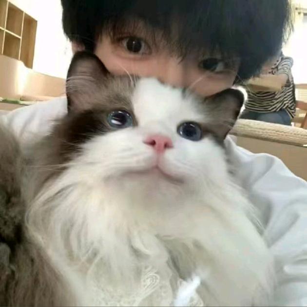 可乐⁷