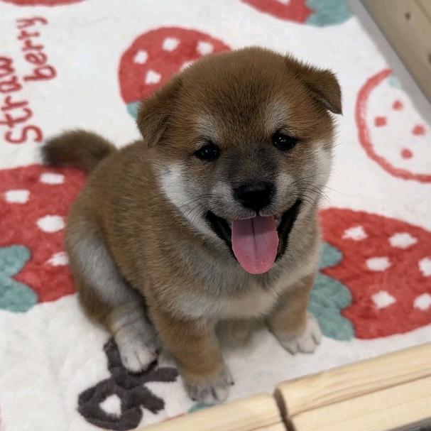 我爱小臭宝呀😘