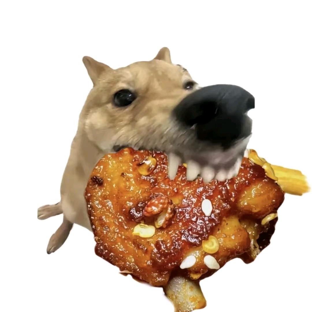 ZzWw（梦里见权志龙版）