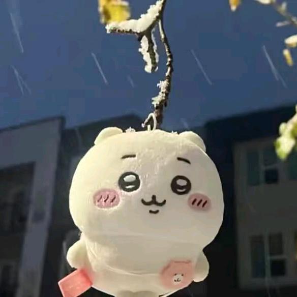 花琴