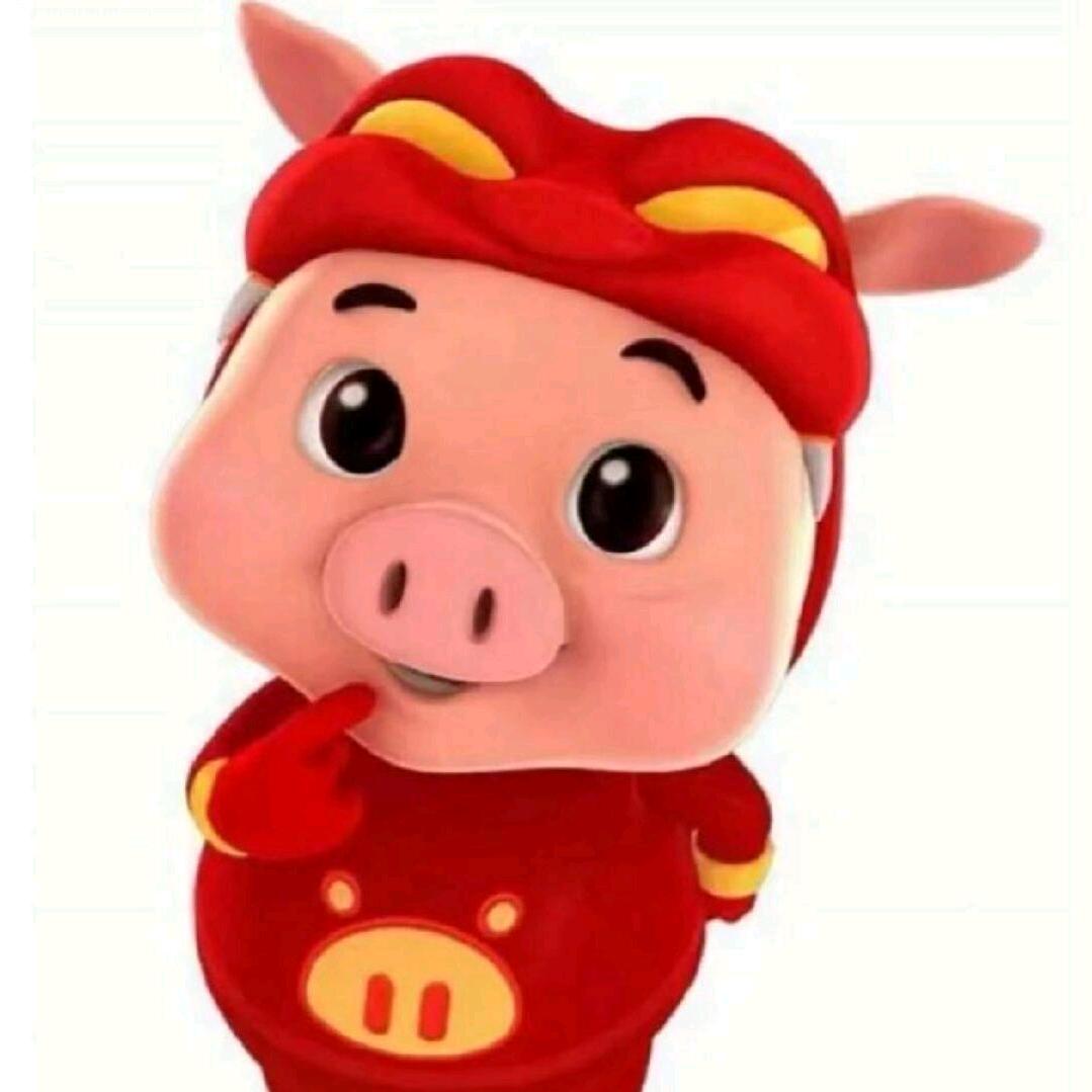 老实人
