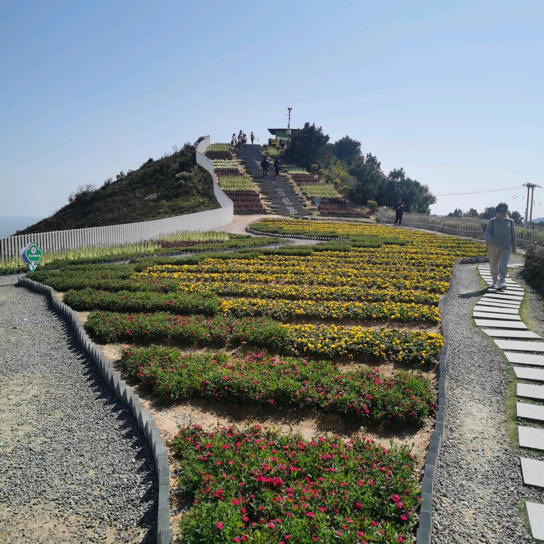 冯🌻927🌻