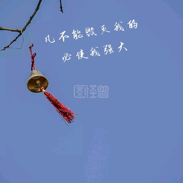 漂流的鱼