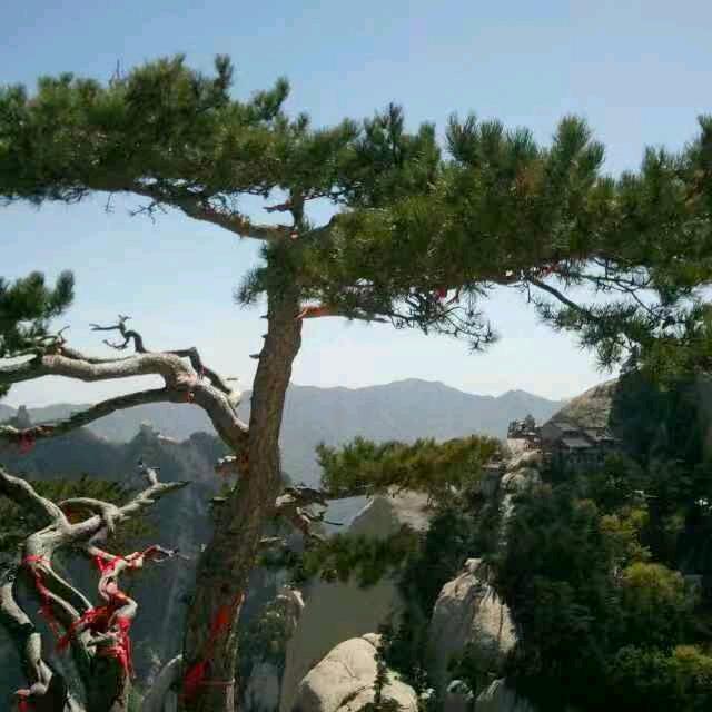 男人的生活。