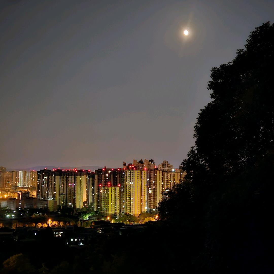 黑小胖✨✨