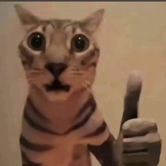 T . T