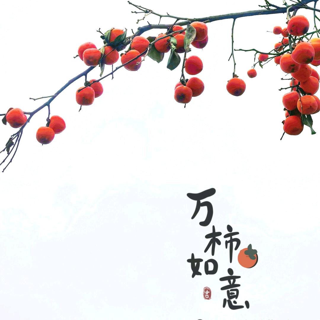 海边捡贝壳🐚
