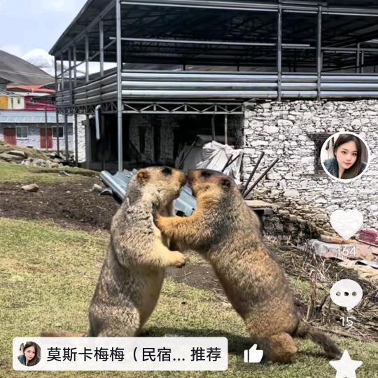 苏菲是自由点