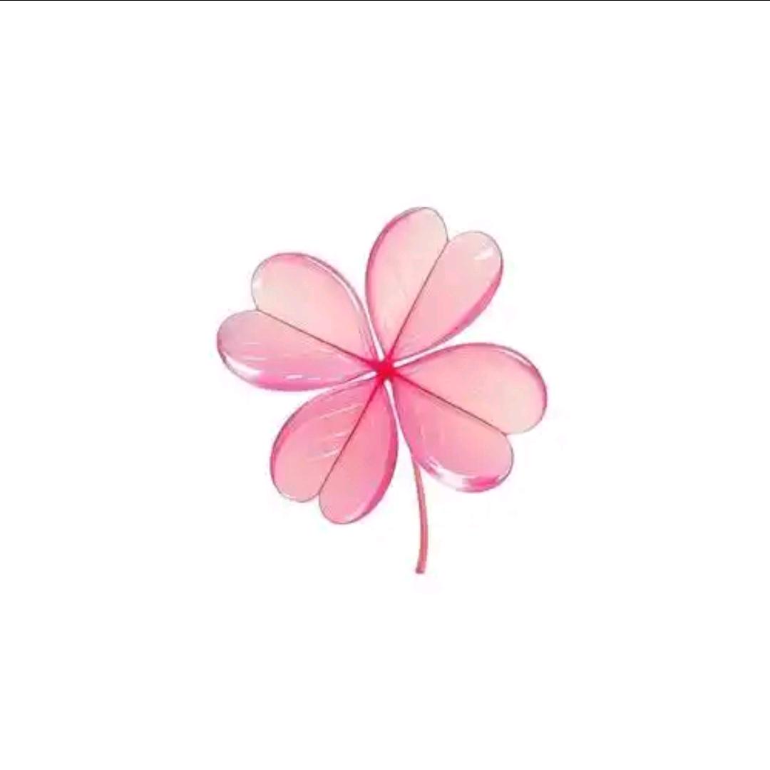 心經🌸