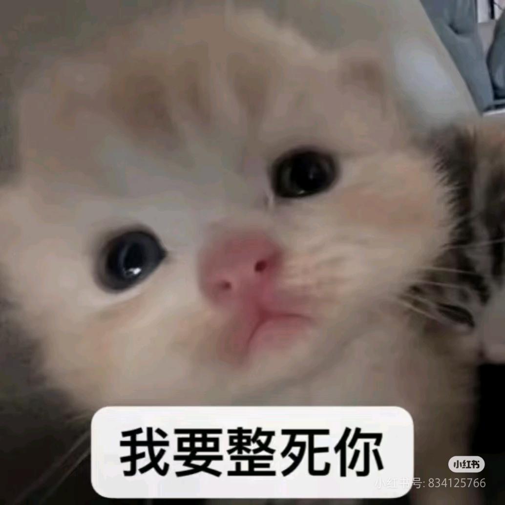 咪咪兔