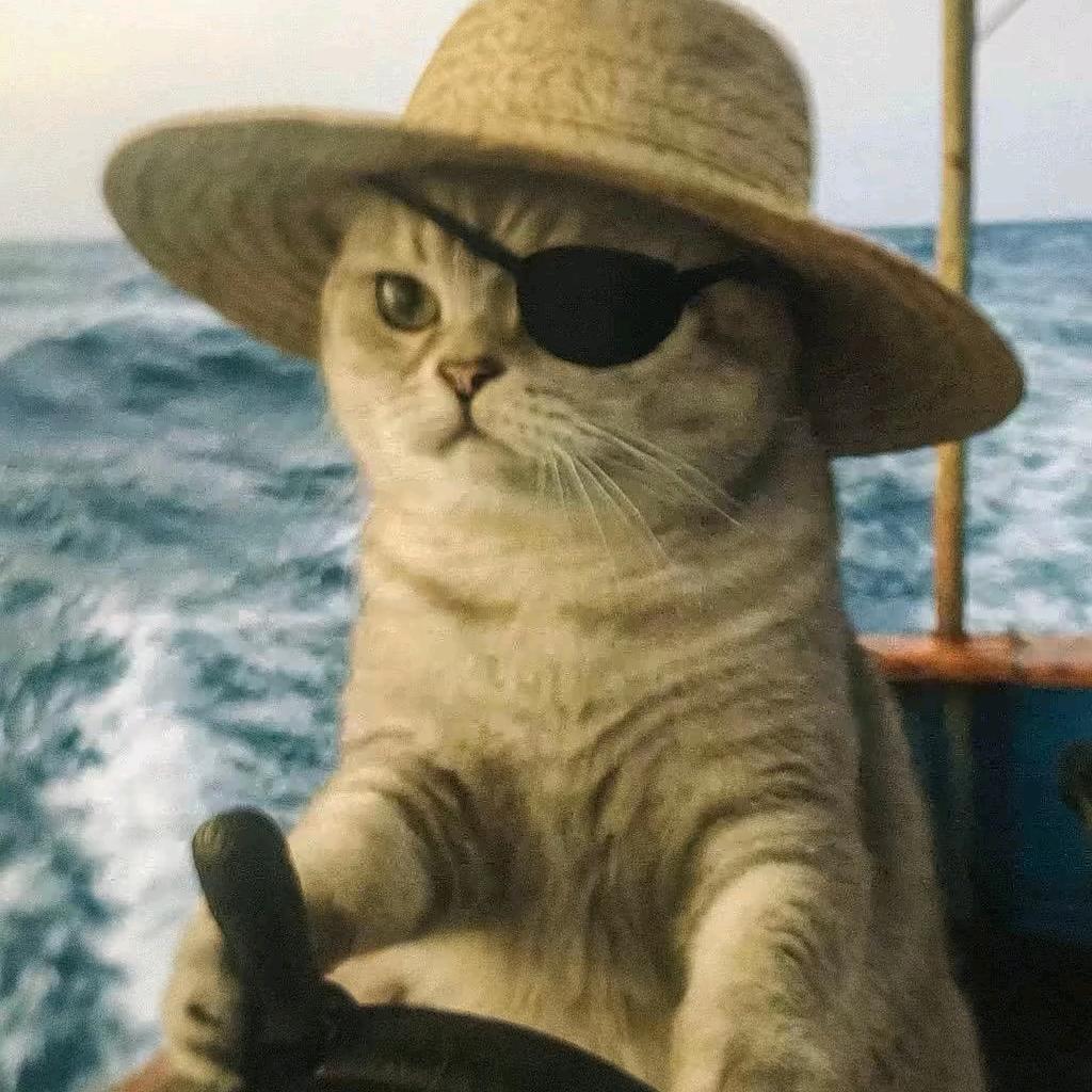 英雄联盟手游 小辉