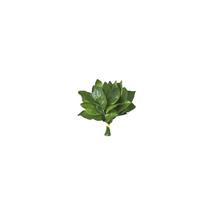 歪歪