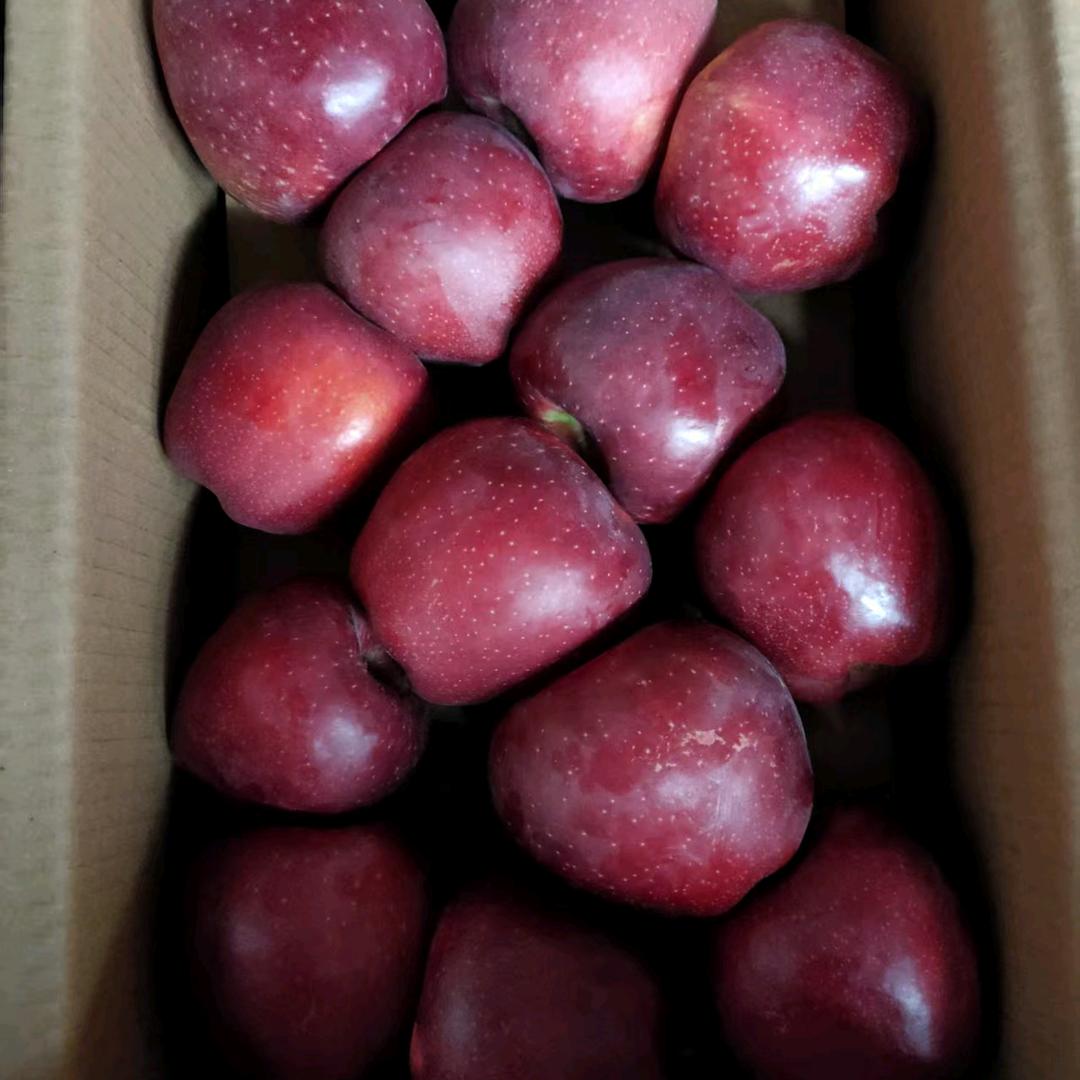 (ಡωಡ)一切随风✺