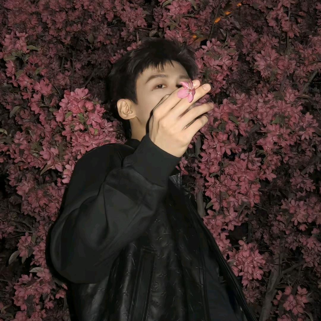 小霜梨L