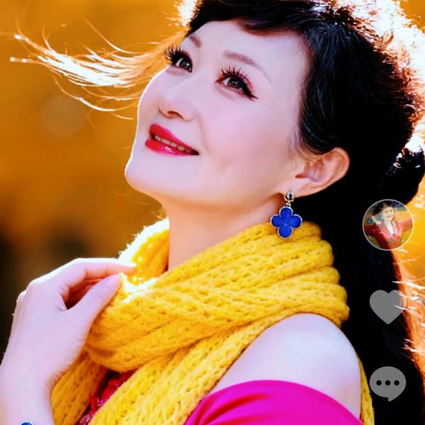绽放的玫瑰🌹