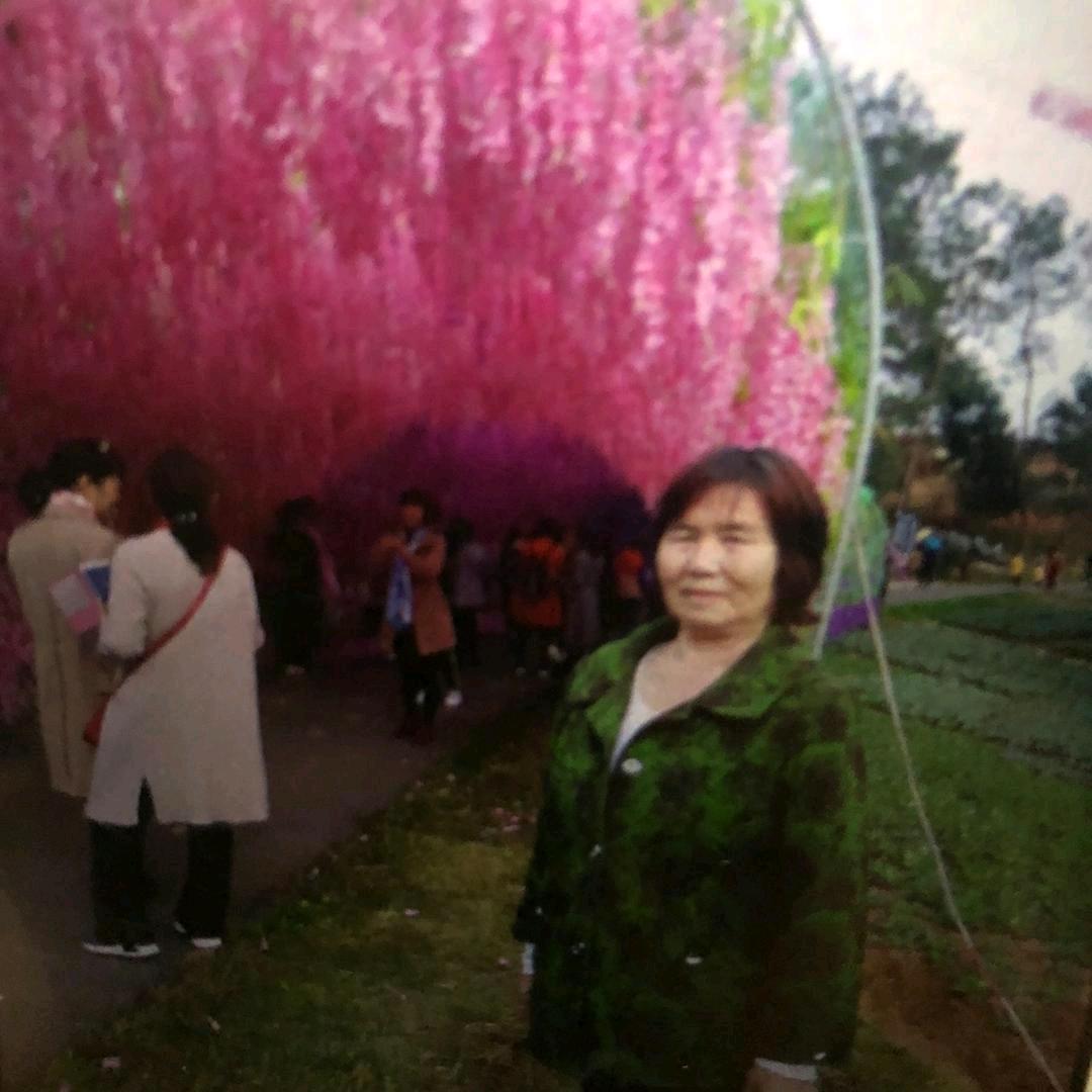 人生如茶