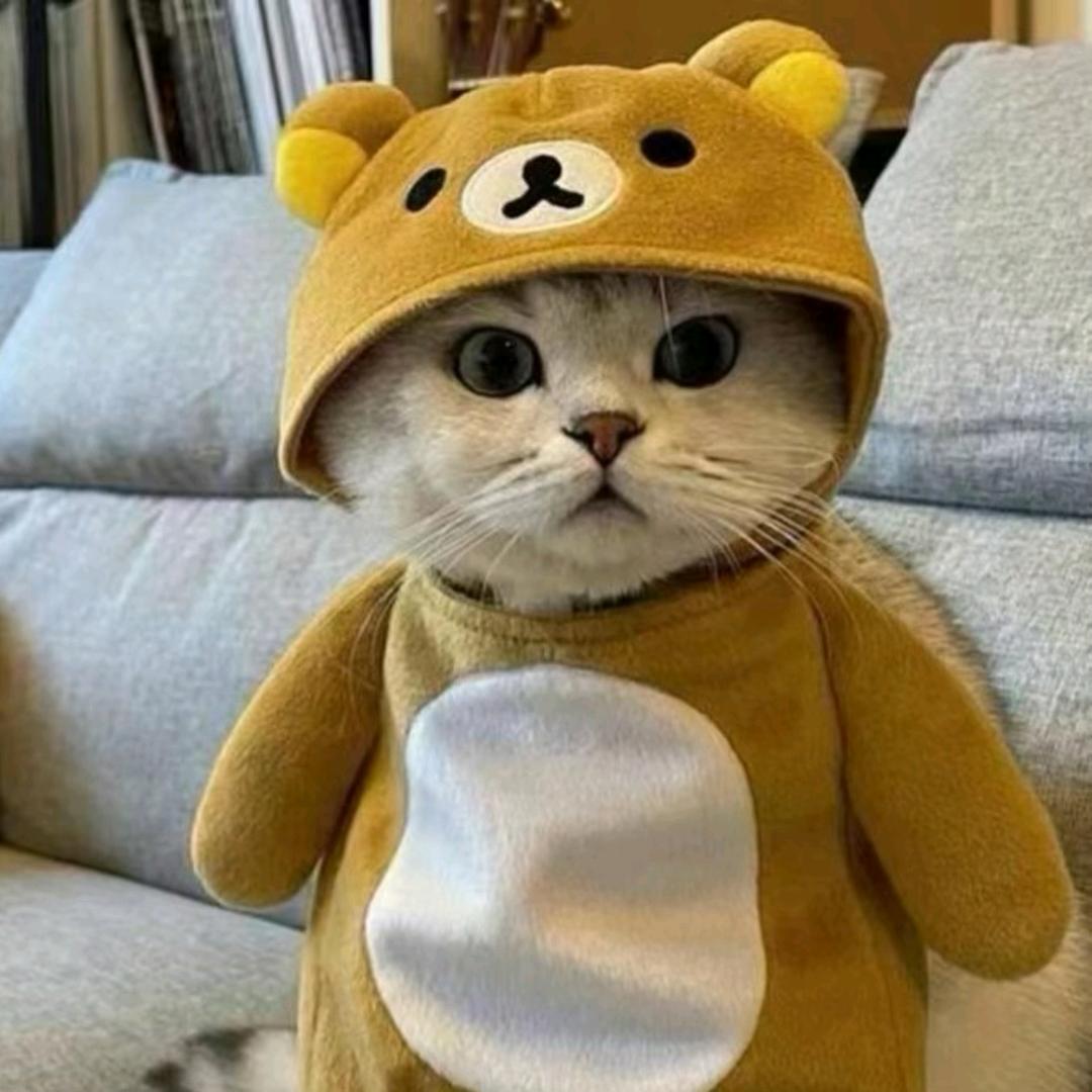 往后余生，大开杀戒