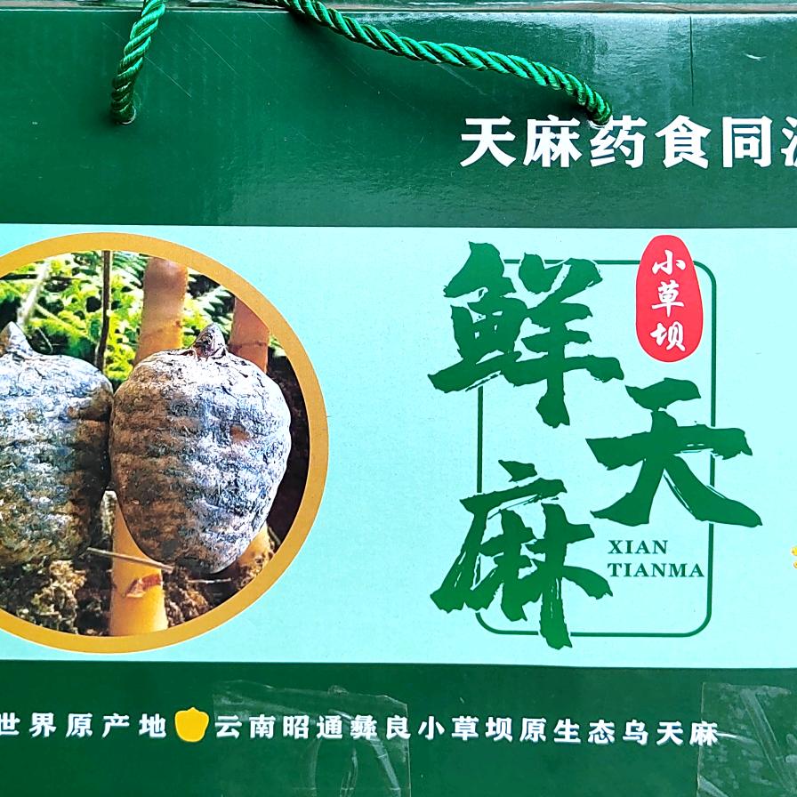 彝良山臻品集