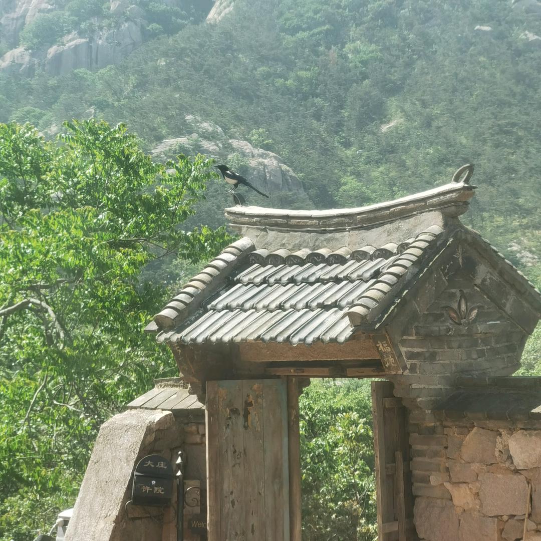 止语