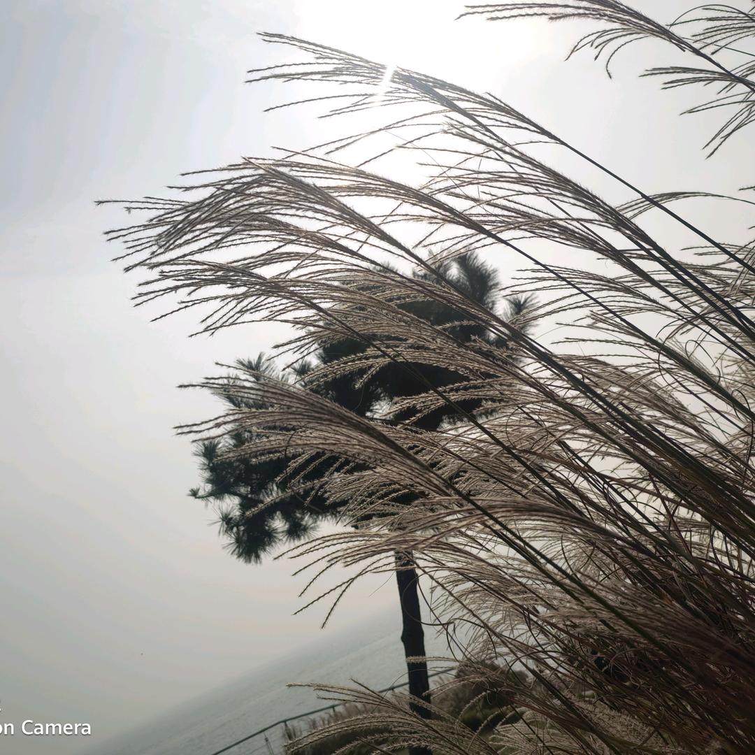 (ꐦÒ‸Ó)你个老六