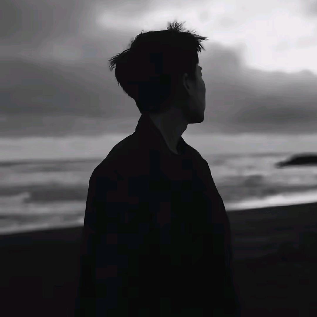 大鲨鱼