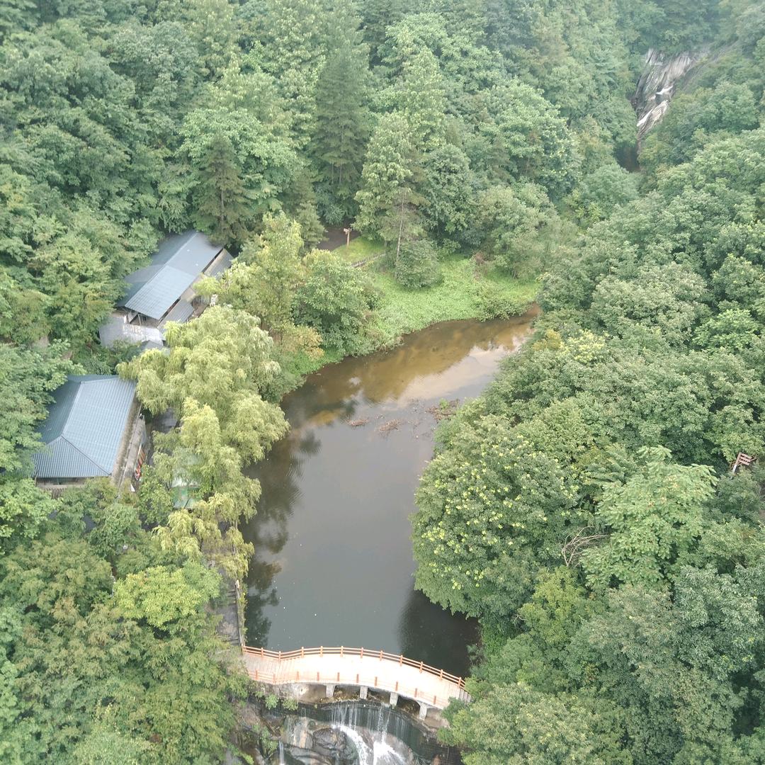 绘馨集