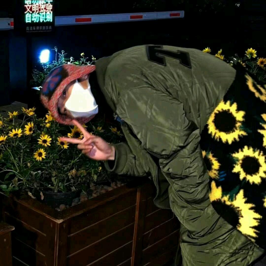 扬帆起航