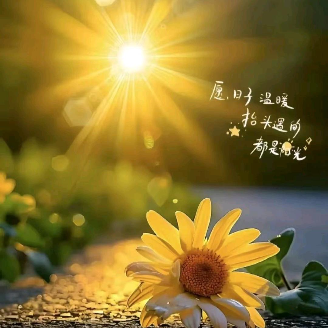 我就是我