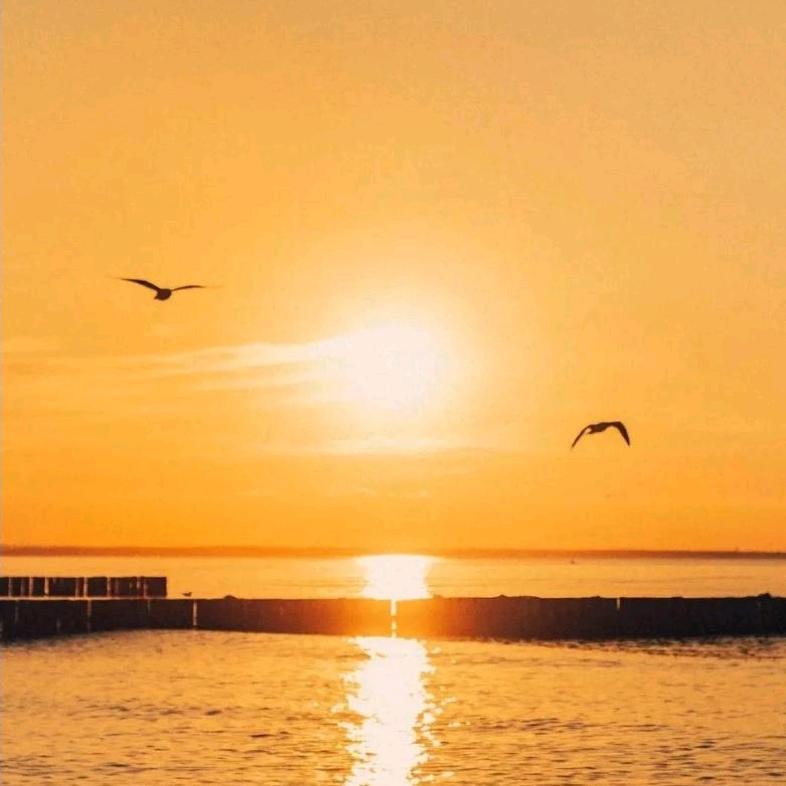 重生我在东帝汶卖菜